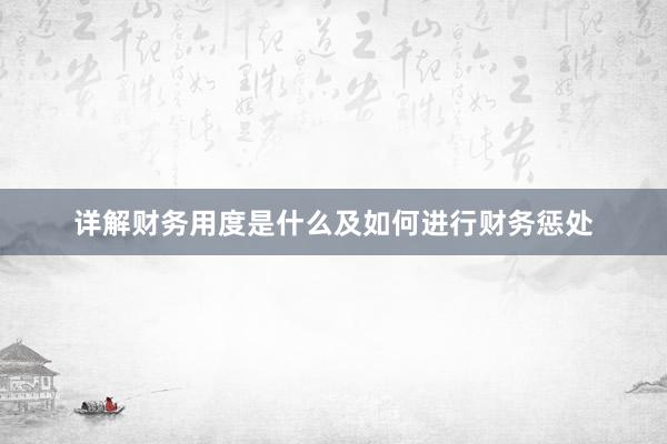 详解财务用度是什么及如何进行财务惩处
