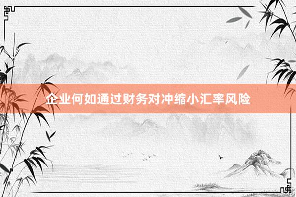 企业何如通过财务对冲缩小汇率风险
