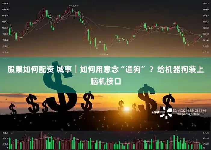 股票如何配资 城事｜如何用意念“遛狗” ？给机器狗装上脑机接口
