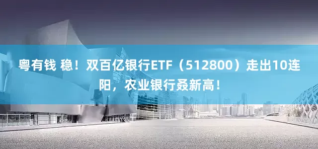 粤有钱 稳！双百亿银行ETF（512800）走出10连阳，农业银行叒新高！
